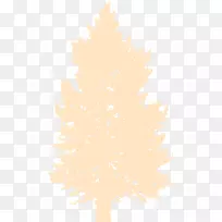 松系开花植物叶系-空若网 松系开花植物叶系-空若网