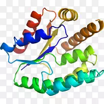 人体首饰有机体线剪贴画线-空若网 人体首饰有机体线剪贴画线-空若网