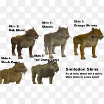 狮子大猫陆生动物野生动物-狮子-空若网 狮子大猫陆生动物野生动物-狮子-空若网