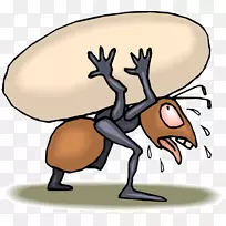 蚂蚁昆虫食物夹艺术蚂蚁举重-空若网 蚂蚁昆虫食物夹艺术蚂蚁举重-空若网