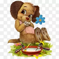 ���Ϻã������죬��-������