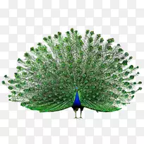 ��ȸ����ϵͳ��ȸ����Ļ-������