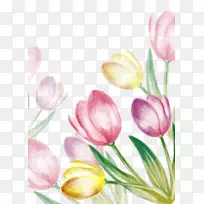 ˮ��������-������