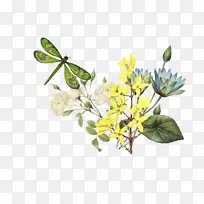 �����ɻ���ɫ���ͻ���ͼ��-���ѻ�-������