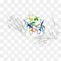 ƽ����Ƽ�����.���-������