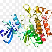 人体首饰有机体线剪贴画线-空若网 人体首饰有机体线剪贴画线-空若网