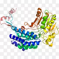 人体首饰有机体线剪贴画线-空若网 人体首饰有机体线剪贴画线-空若网