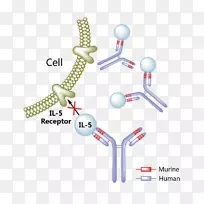 白介素-5-雷利祖马抗阿达利莫单抗药物-药物-空若网 白介素-5-雷利祖马抗阿达利莫单抗药物-药物-空若网