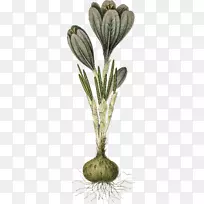 �ݻ������ݱ�ֲ�ﾥ��-������