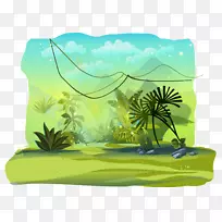 东坡野味生态系统雨林-Selva-空若网 东坡野味生态系统雨林-Selva-空若网