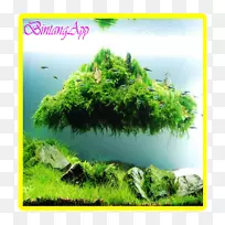 三星星系+android真水族馆-android-空若网 三星星系+android真水族馆-android-空若网