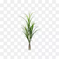 �ݣ��˹�����ާ��ֲ�ֲ�ﾥ-��-������