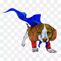 比格猎犬繁殖鼻子-没有恐惧-空若网 比格猎犬繁殖鼻子-没有恐惧-空若网