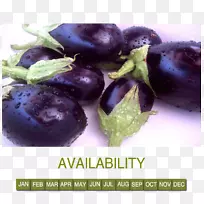 丹姆森超级食品-蓝莓-本地水果和蔬菜-空若网 丹姆森超级食品-蓝莓-本地水果和蔬菜-空若网