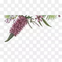 ������ƻ�������-�ʻ�-������