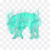 狗绿松石鼻子-狗-空若网 狗绿松石鼻子-狗-空若网