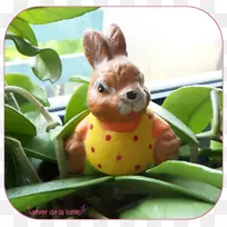 ������β-������