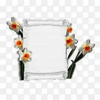 花卉设计花瓶切花花瓶-空若网 花卉设计花瓶切花花瓶-空若网