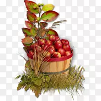 ƻ������-ƻ��-������