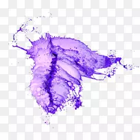 紫溅水-空若网 紫溅水-空若网