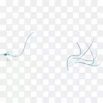 线条艺术设计-空若网 线条艺术设计-空若网