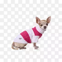 狗繁殖吉娃娃伴狗衣服鼻子王子和公主-空若网 狗繁殖吉娃娃伴狗衣服鼻子王子和公主-空若网