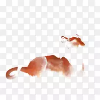 �����ֽ����-������