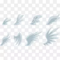 羽毛蓝-蓝翅膀-空若网 羽毛蓝-蓝翅膀-空若网