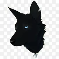 狗繁殖雪皮须,鼻子,毛皮.污垢-空若网 狗繁殖雪皮须,鼻子,毛皮.污垢-空若网