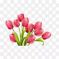 郁金香花夹艺术-郁金香-空若网 郁金香花夹艺术-郁金香-空若网