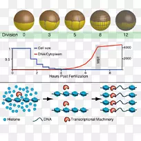 直线点线-空若网 直线点线-空若网