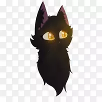 家用短毛猫鼻子猫-空若网 家用短毛猫鼻子猫-空若网