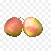 梨果食蔬菜-梨果-空若网 梨果食蔬菜-梨果-空若网