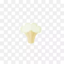 白花椰菜-空若网 白花椰菜-空若网