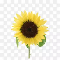 �򵥵����տ���Χ-������