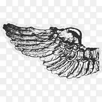 黑白摄影艺术.黑色漂亮翅膀-空若网 黑白摄影艺术.黑色漂亮翅膀-空若网