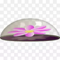 镇静剂玻璃-金鱼莲花-空若网 镇静剂玻璃-金鱼莲花-空若网