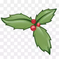 Ҷ�Ӳ���Pakoraʥ����Tikka-Ҷ��-������