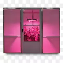 �����������-������