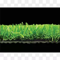 草科人工草-空若网 草科人工草-空若网