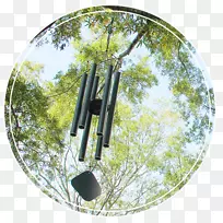 树-树-空若网 树-树-空若网