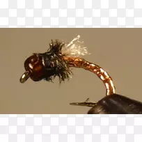 ����-������