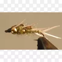 �����˹�Ӭ-������