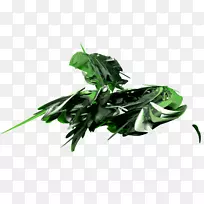 叶菜叶-空若网 叶菜叶-空若网