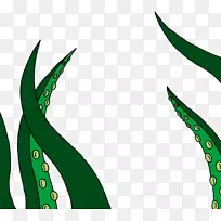 Ҷ��ֲ�ﾥ�߶�����-Ҷ-������