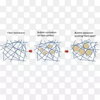 ���ߵ���-������