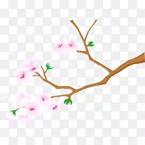 樱花大学-樱花-空若网 樱花大学-樱花-空若网