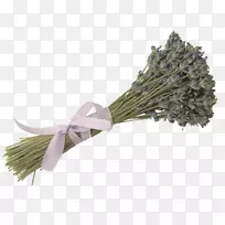 ����-޹�²ݻ���-������