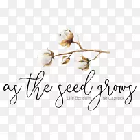 �̱�Ӥ����װ-�޻�����-������