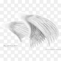 黑白天使翼单色绘图设计-空若网 黑白天使翼单色绘图设计-空若网